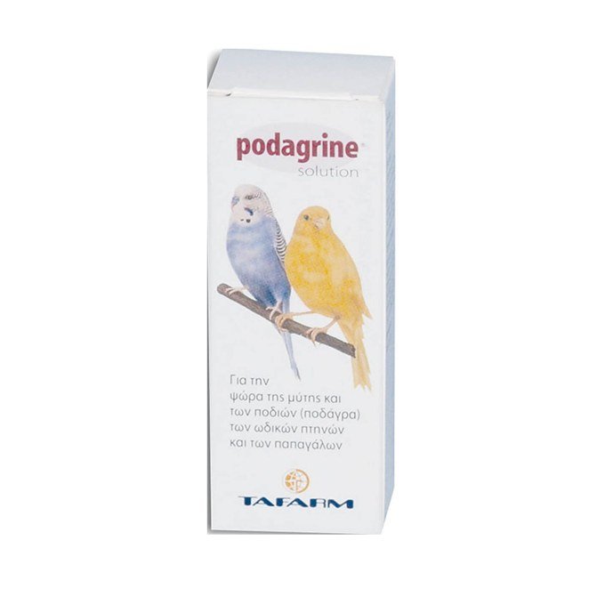 Shop Primary Image
