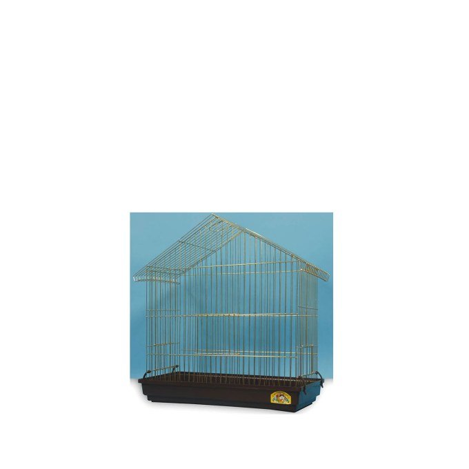 Shop Primary Image