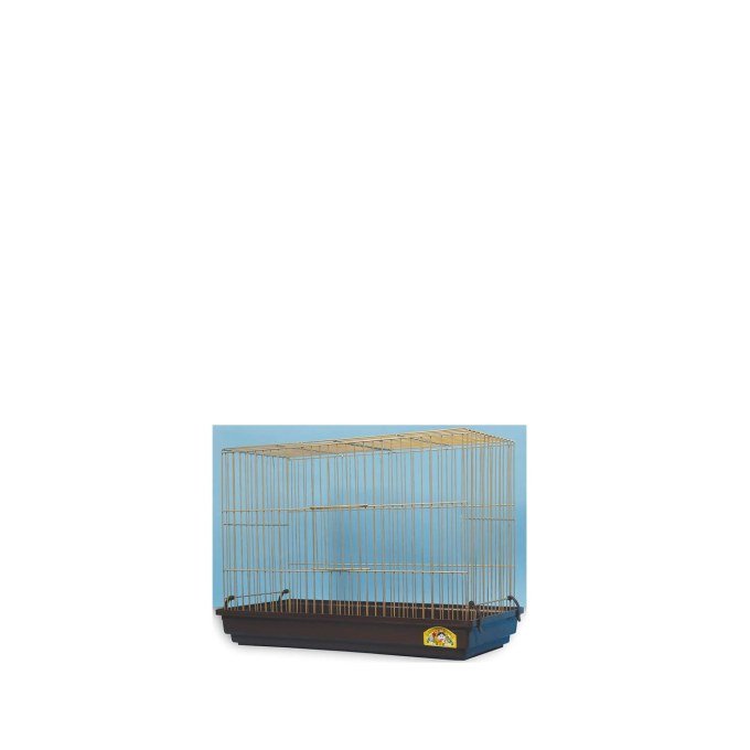 Shop Primary Image