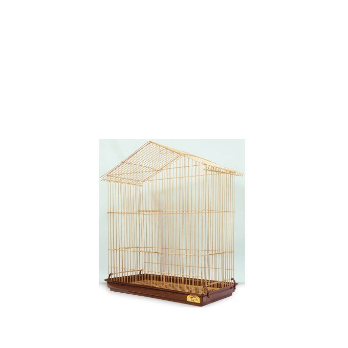 Shop Primary Image