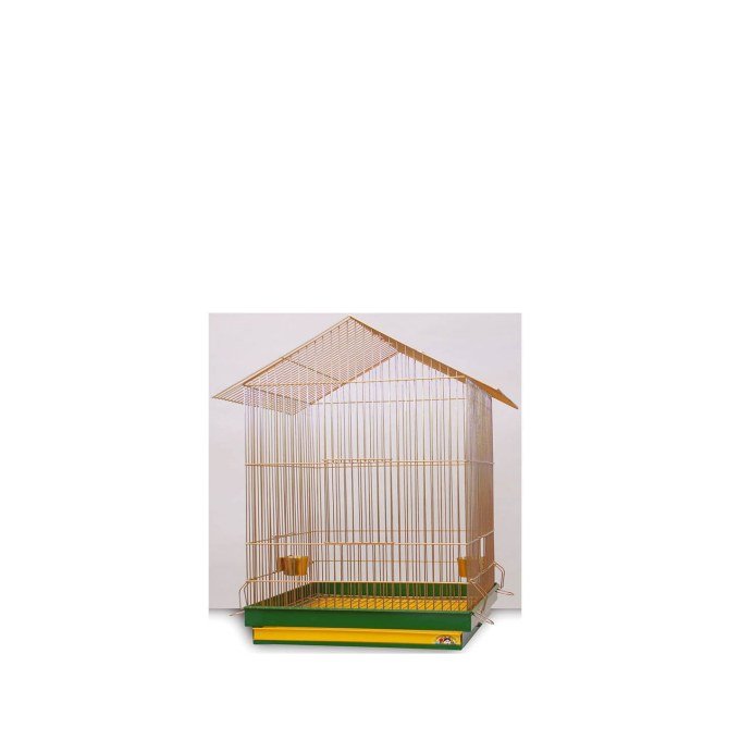 Shop Primary Image