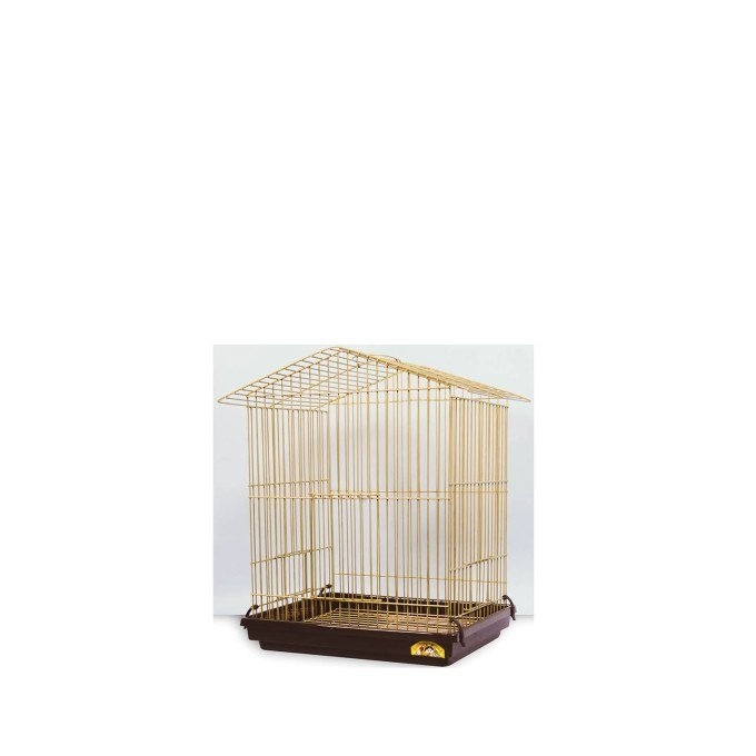 Shop Primary Image