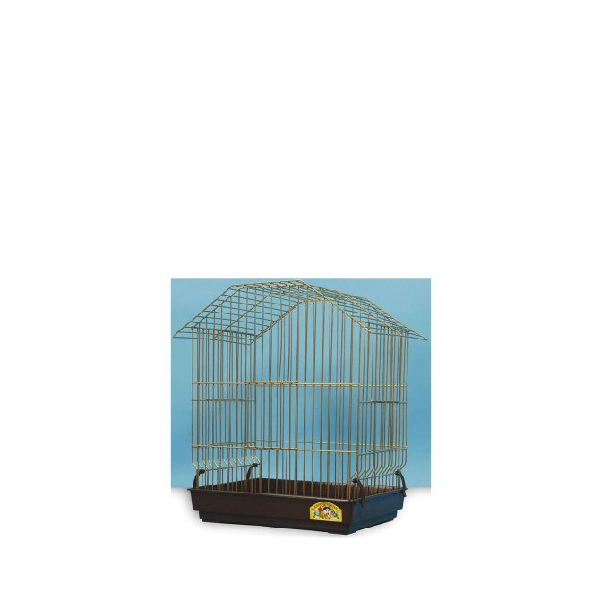 Shop Primary Image