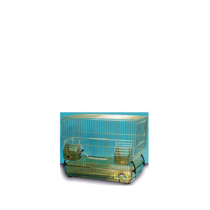 Shop Primary Image