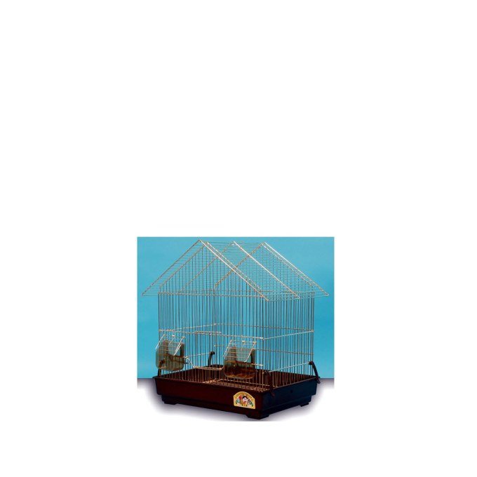 Shop Primary Image