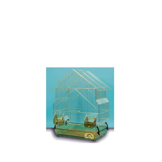 Shop Primary Image