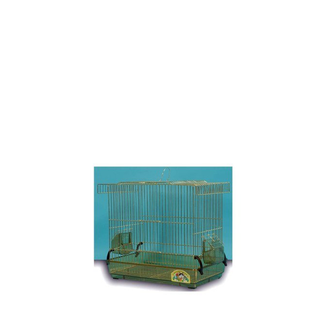 Shop Primary Image