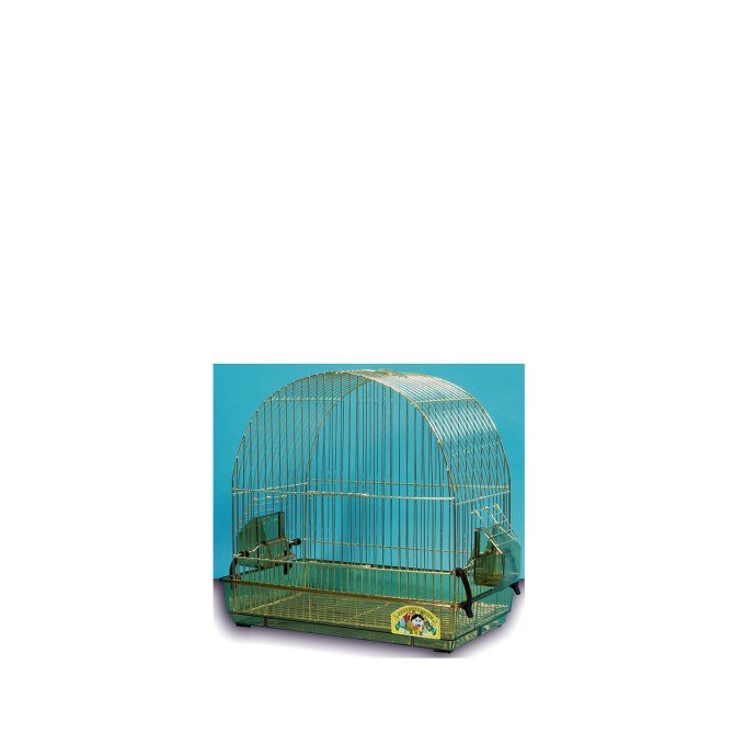 Shop Primary Image