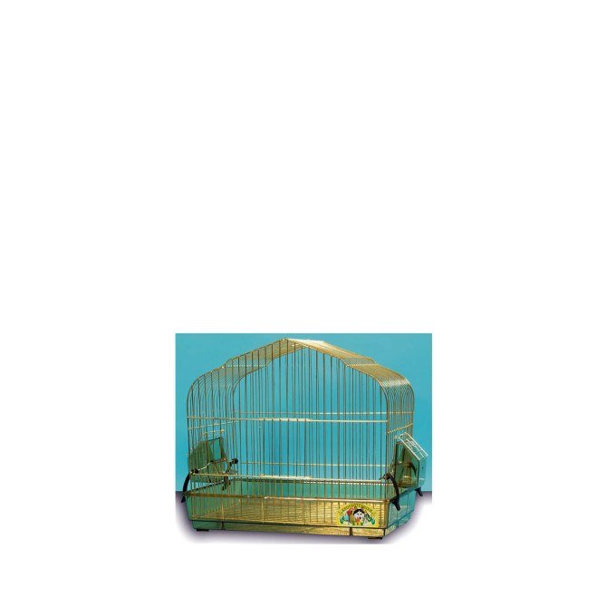 Shop Primary Image