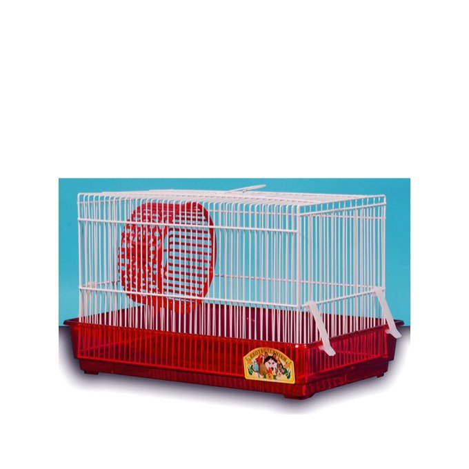 Shop Primary Image