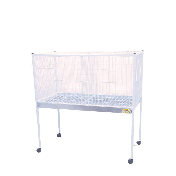 Shop Primary Image