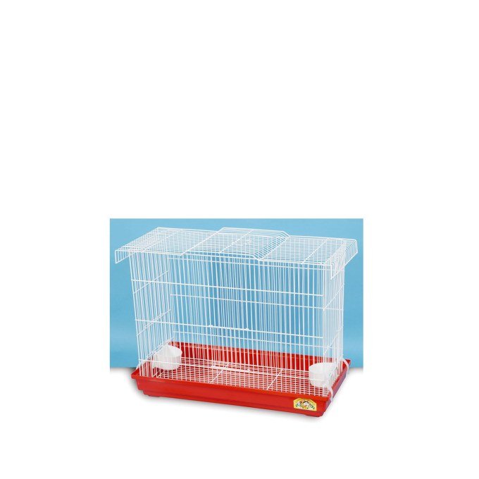 Shop Primary Image