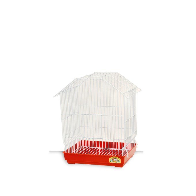 Shop Primary Image