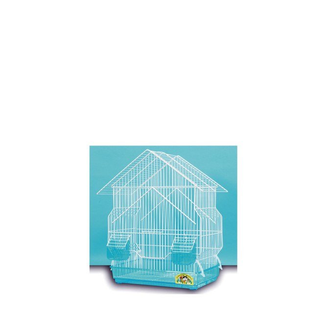 Shop Primary Image