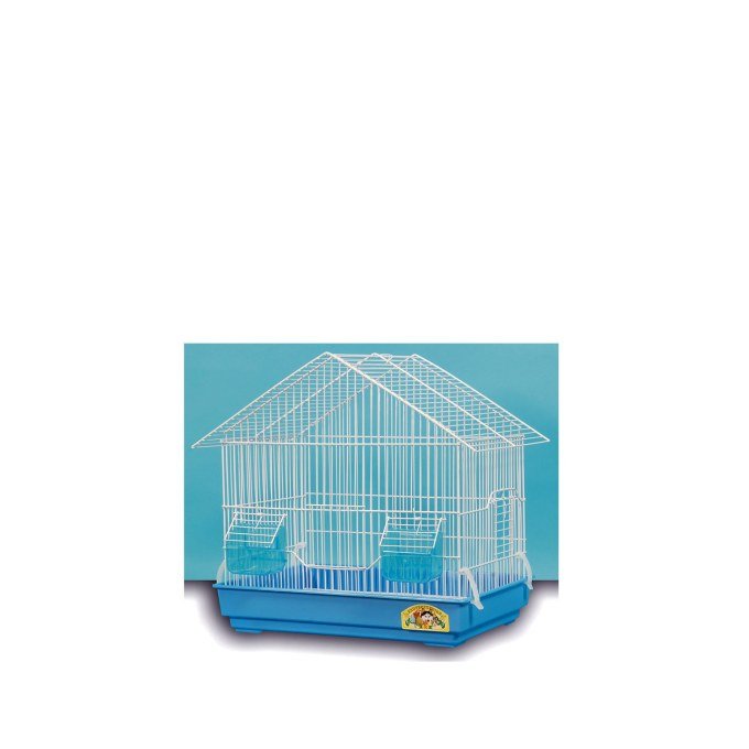 Shop Primary Image
