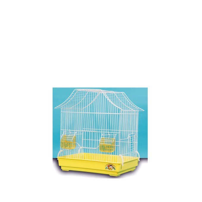 Shop Primary Image