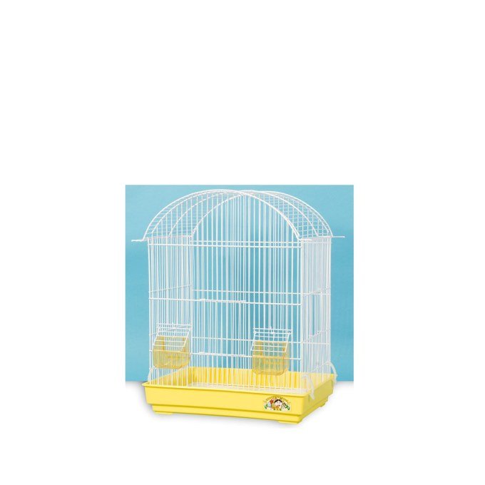 Shop Primary Image