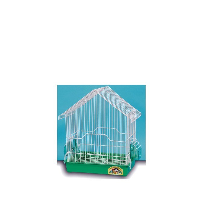 Shop Primary Image