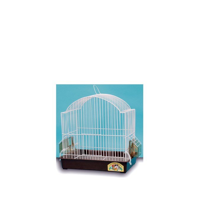 Shop Primary Image