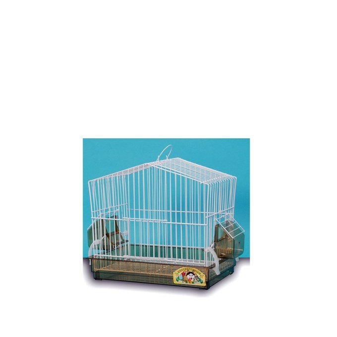 Shop Primary Image